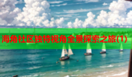 海角社区独特视角全景探索之旅(1)