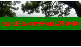 海角社区名字的由来与背后故事揭秘